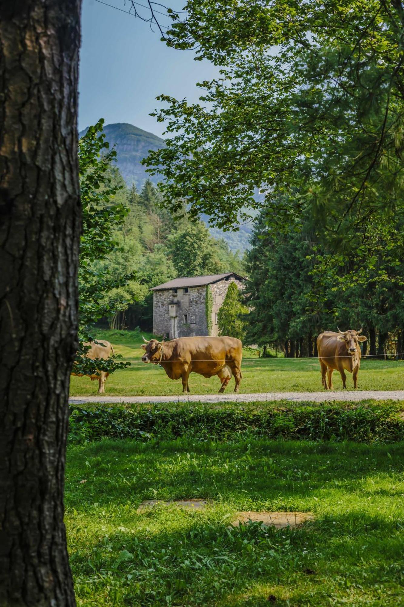 Agriturismo Ferdy Villa Lenna Ngoại thất bức ảnh